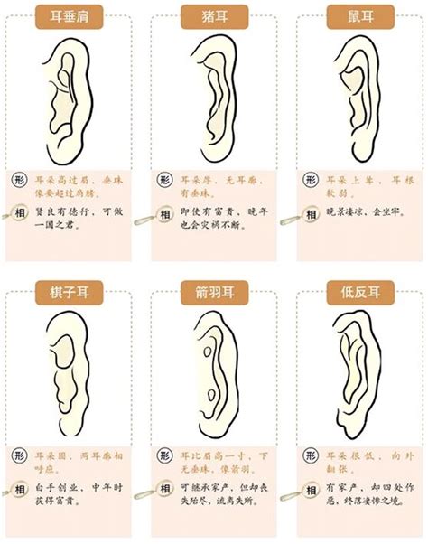 鴛鴦耳面相|面相耳朵图解【最详细版】 – 杨易德全集官网